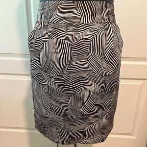 Cato lined silk polyester skirt